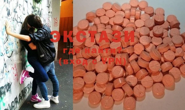 ECSTASY Богданович